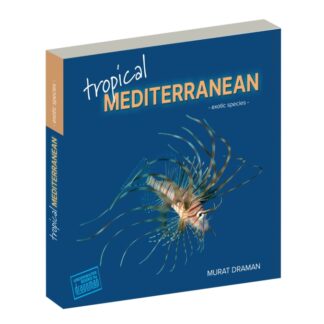 Tropical Mediterranean