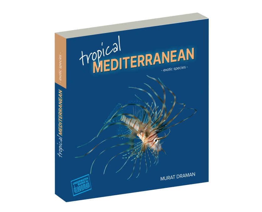 Tropical Mediterrenian