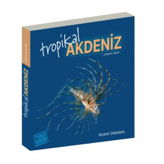 Tropical Mediterranean