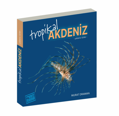 Tropical Mediterranean